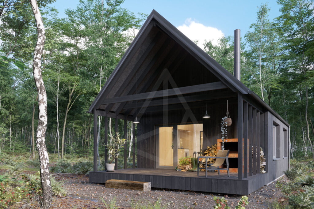 tipinis-projektas-strazdas-juodas-silta-siaure-1 Tipinis Projektas Strazdas Juodas Silta Siaure 1