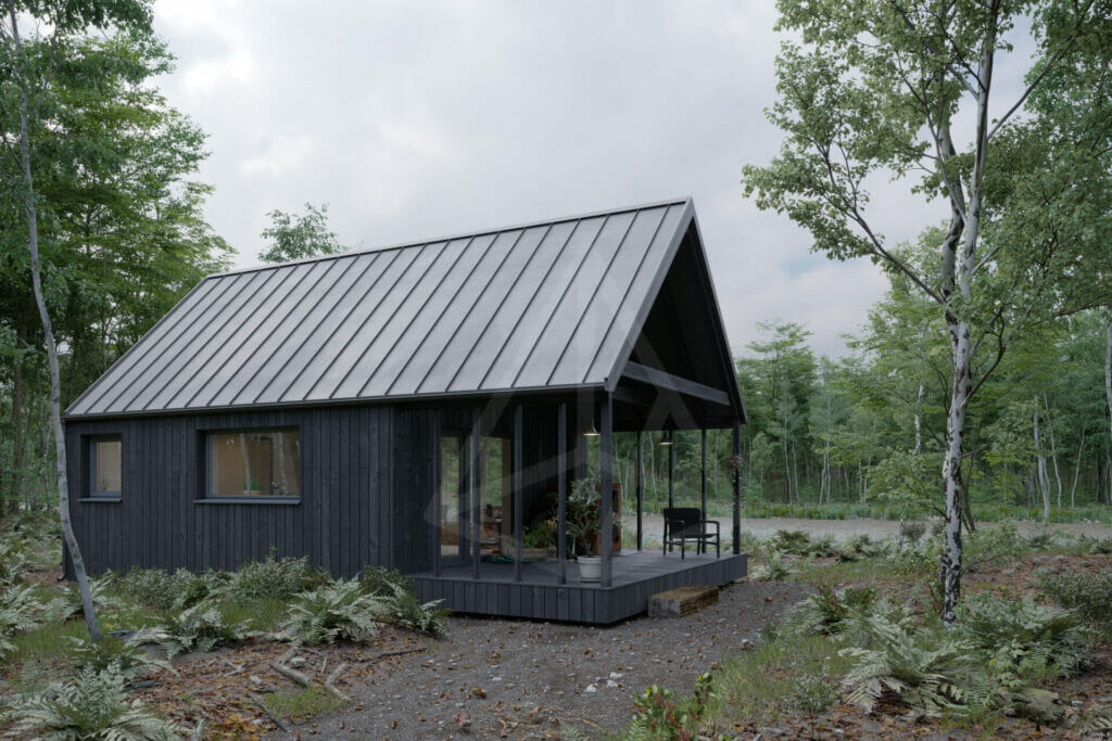 tipinis-projektas-strazdas-silta-siaure-juodas-3 tipinis