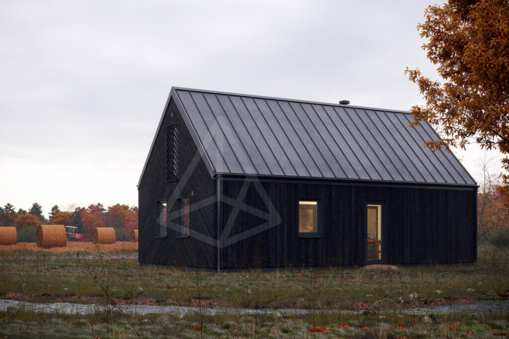 tipinis-projektas-kuosa-silta-siaure-juoda-04 tipinis pastato projektas. nedidelis, skandinaviško stiliaus juodos spalvos karkasinis namas