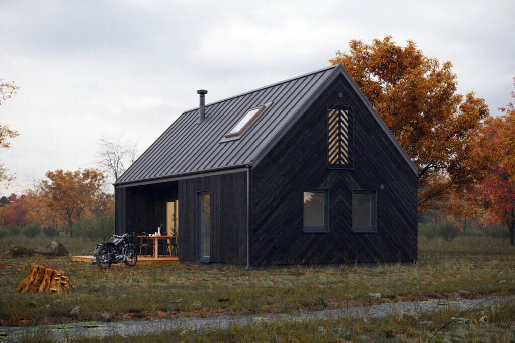 tipinis-projektas-kuosa-silta-siaure-juoda-05 tipinis pastato projektas. nedidelis, skandinaviško stiliaus juodos spalvos karkasinis namas