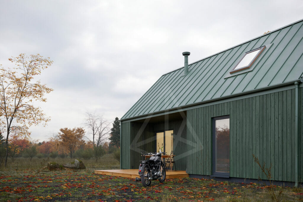 tipinis-projektas-kuosa-silta-siaure-zalia-02 tipinis pastato projektas. nedidelis, skandinaviško stiliaus žalios spalvos karkasinis namas