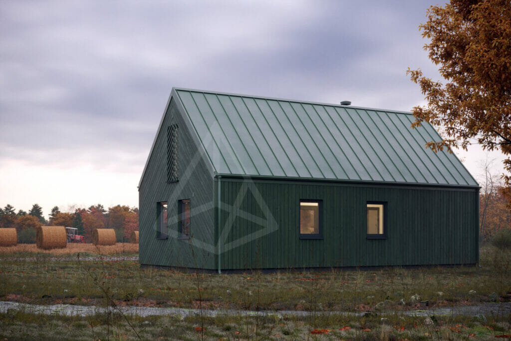 tipinis-projektas-kuosa-silta-siaure-zalia-04 tipinis pastato projektas. nedidelis, skandinaviško stiliaus žalios spalvos karkasinis namas