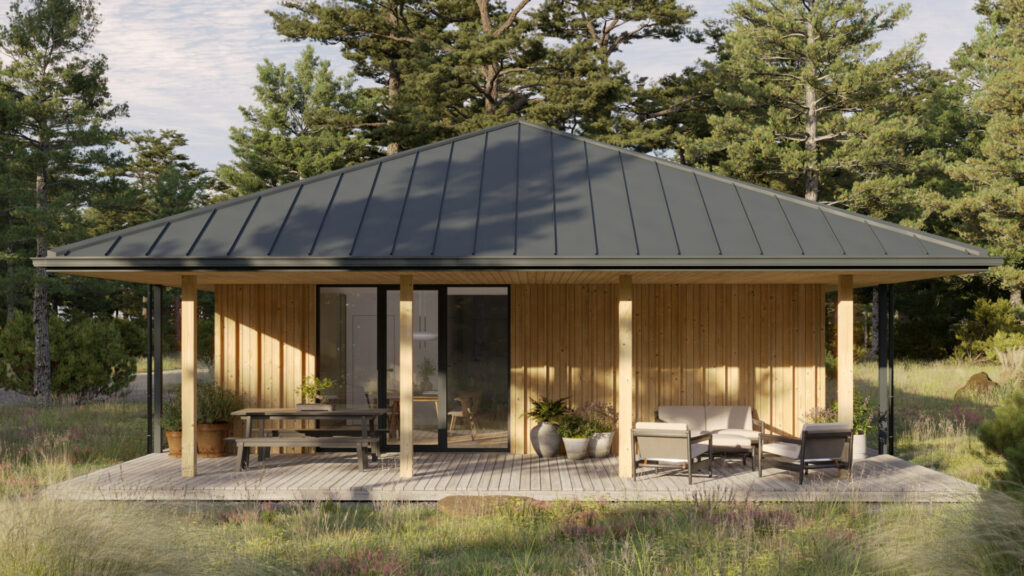 Garnys didesnis_Camera001 Garnys Didesnis Camera001