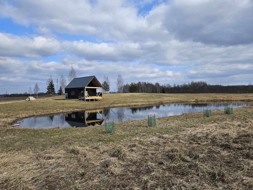 tipinis-namelis-strazdas-procesas-ap-2 Tipinis Namelis Strazdas Procesas Ap 2