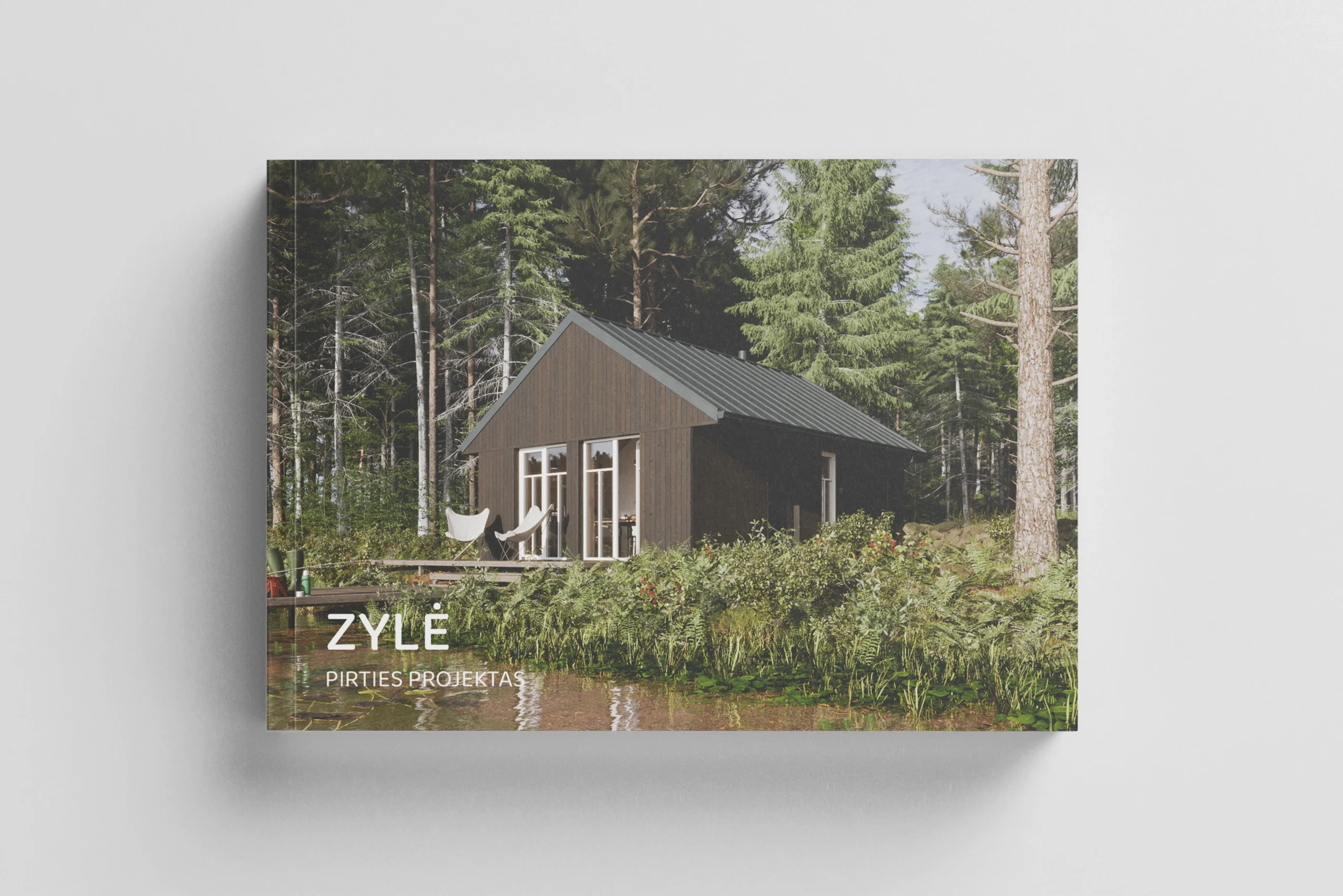 ZYLĖ_virselis_mocup Pirties projektas Zylė